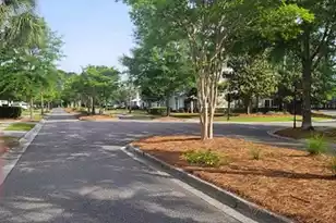 132 Fresh Meadow Ln, Mount Pleasant, SC 29466 - Photo 58