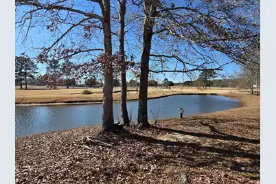 1151 Blue Heron Point, Manning, SC 29102 - Photo 28