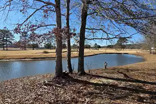 1151 Blue Heron Point, Manning, SC 29102 - Photo 28