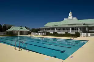 208 Barberry St, Summerville, SC 29483 - Photo 42