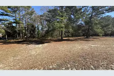 Tbd Bloomville Road, Manning, SC 29102 - Photo 1