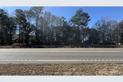 Tbd Bloomville Road, Manning, SC 29102 - Photo 6