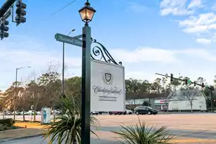 1330 Somersby Ln, Mount Pleasant, SC 29466 - Photo 38