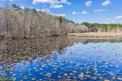 455 Eagleview Drive, Moncks Corner, SC 29461 - Photo 40