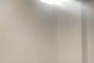 293 King St, Charleston, SC 29401 - Photo 8