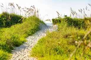 6 29th Ave, Isle Of Palms, SC 29451 - Photo 66