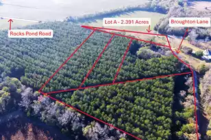 0 Rocks Pond (Lot A) Rd, Eutawville, SC 29048 - Photo 1