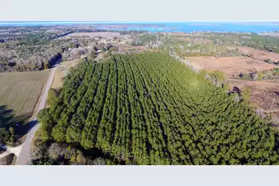 000 Broughton (Lot E) Lane, Eutawville, SC 29048 - Photo 4