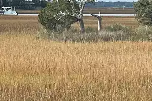 10 Waterway Island Dr, Isle Of Palms, SC 29451 - Photo 34