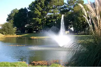 364 Evian Way, Mount Pleasant, SC 29464 - Photo 46