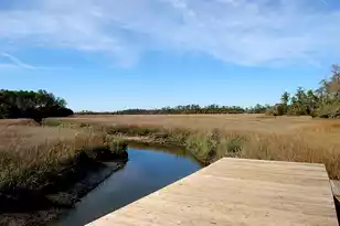 364 Evian Way, Mount Pleasant, SC 29464 - Photo 44