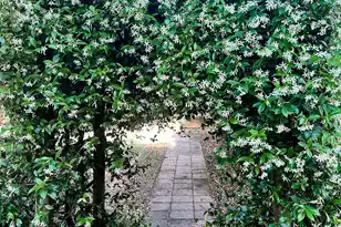 1509 Palmetto Fort Dr W, Mount Pleasant, SC 29466 - Photo 30