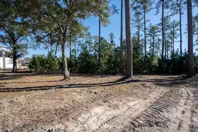 934 Fish Camp Road, Charleston, SC 29492 - Photo 6