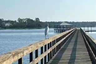 2838 Dragonfly Cir, Mount Pleasant, SC 29466 - Photo 6