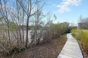 1607 Paradise Lake Dr, Mount Pleasant, SC 29464 - Photo 64