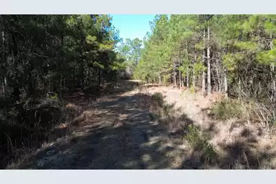 6 Red Oak Rd, Cottageville, SC 29435 - Photo 6