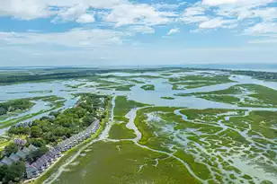 242 Little Oak Island Dr, Folly Beach, SC 29439 - Photo 48
