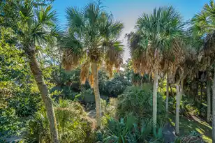 211 Hudson Ave W, Folly Beach, SC 29439 - Photo 38