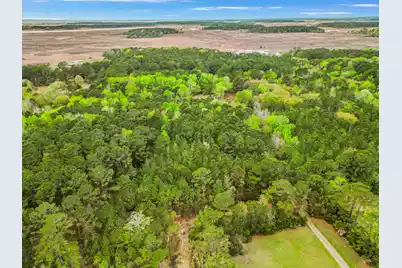 0 Bennetts Point Road, Green Pond, SC 29446 - Photo 10