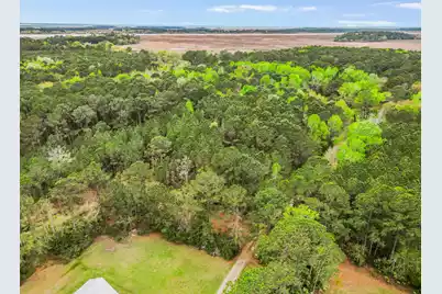 0 Bennetts Point Road, Green Pond, SC 29446 - Photo 8