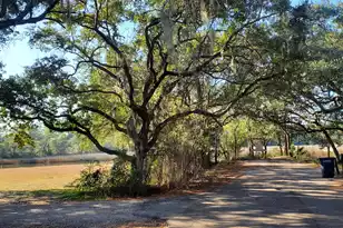2534 Hara Ln, Charleston, SC 29414 - Photo 6