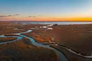 1098 Theodore Brunson Rd, Awendaw, SC 29429 - Photo 16