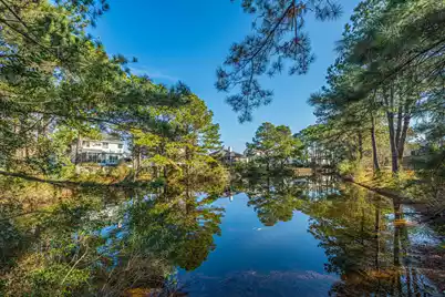 1415 Black River Drive, Mount Pleasant, SC 29466 - Photo 38