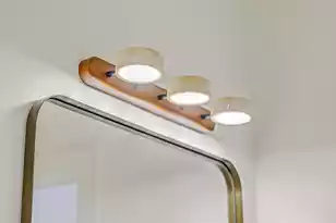 755 Adluh St, Mount Pleasant, SC 29464 - Photo 24