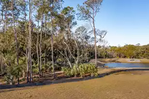 2323 Minifarm Wy, Mount Pleasant, SC 29466 - Photo 52