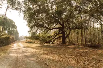 1447 Black Creek Road, Walterboro, SC 29488 - Photo 4