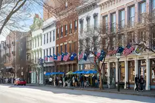 55 Laurens St, Charleston, SC 29401 - Photo 42