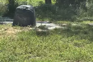 7527 Old Number Six Hwy, Santee, SC 29142 - Photo 8