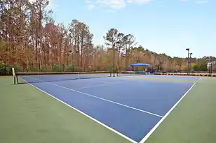 1740 Wellstead St, Mount Pleasant, SC 29466 - Photo 62