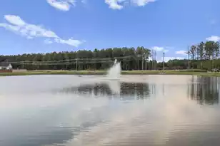 78 Morning Song St, Summerville, SC 29485 - Photo 58