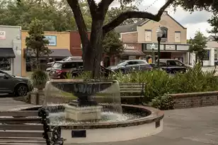 5541 Alpine Dr, Summerville, SC 29483 - Photo 72