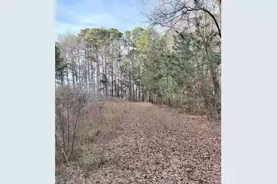 Tbd Felderville Road, Elloree, SC 29047 - Photo 4