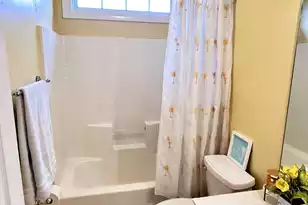 2556 River Lake Walk, Mount Pleasant, SC 29466 - Photo 72