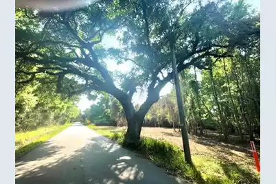 332 Dupre Road, McClellanville, SC 29458 - Photo 4