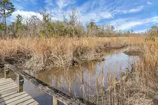 1142 Brookside Dr, Hanahan, SC 29410 - Photo 60