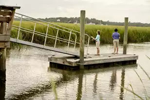 908 Sealoft Villa Dr, Seabrook Island, SC 29455 - Photo 44