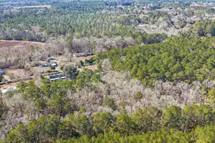 153 Rogers Branch Rd, Ridgeville, SC 29472 - Photo 40