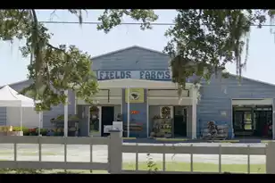 418 Caledon Ct, Johns Island, SC 29455 - Photo 48