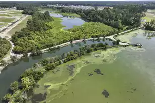 407 Tulip Poplar Dr, Moncks Corner, SC 29461 - Photo 20