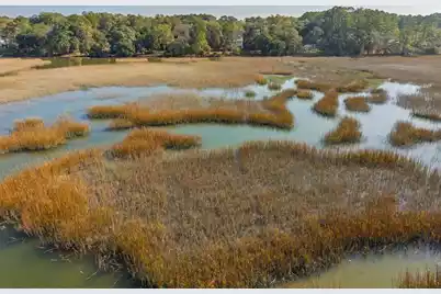 8460 Chisolm Plantation Road, Edisto Island, SC 29438 - Photo 106