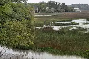 8460 Chisolm Plantation Rd, Edisto Island, SC 29438 - Photo 52