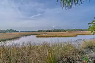 8460 Chisolm Plantation Rd, Edisto Island, SC 29438 - Photo 98