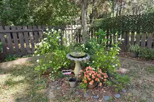 8460 Chisolm Plantation Rd, Edisto Island, SC 29438 - Photo 50