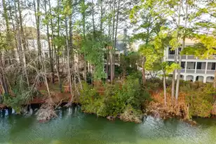 109 Jakes Ln, Mount Pleasant, SC 29464 - Photo 46