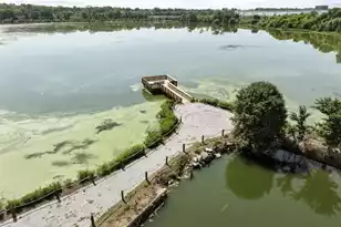 409 Tulip Poplar Dr, Moncks Corner, SC 29461 - Photo 14