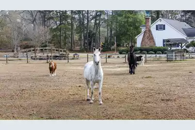 6293 Ehrhardt Road, Ehrhardt, SC 29081 - Photo 6